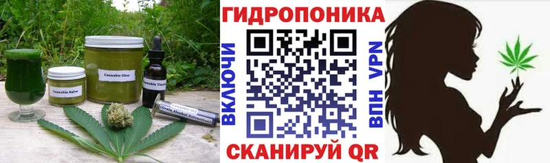 Cannafood конопля  Бодайбо 