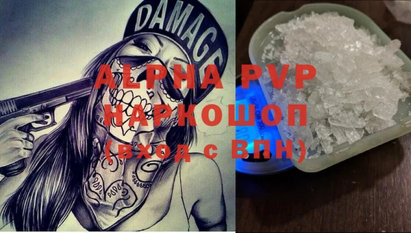 a pvp Аркадак