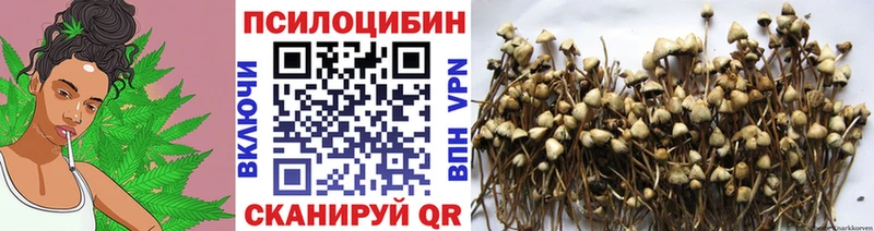 Псилоцибиновые грибы прущие грибы  Бодайбо 